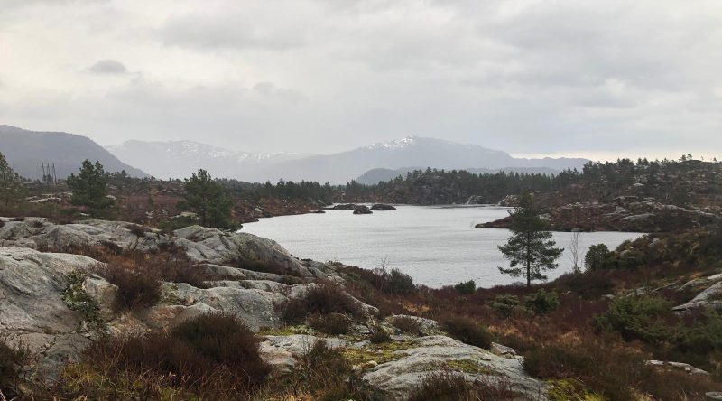 Bergen 5