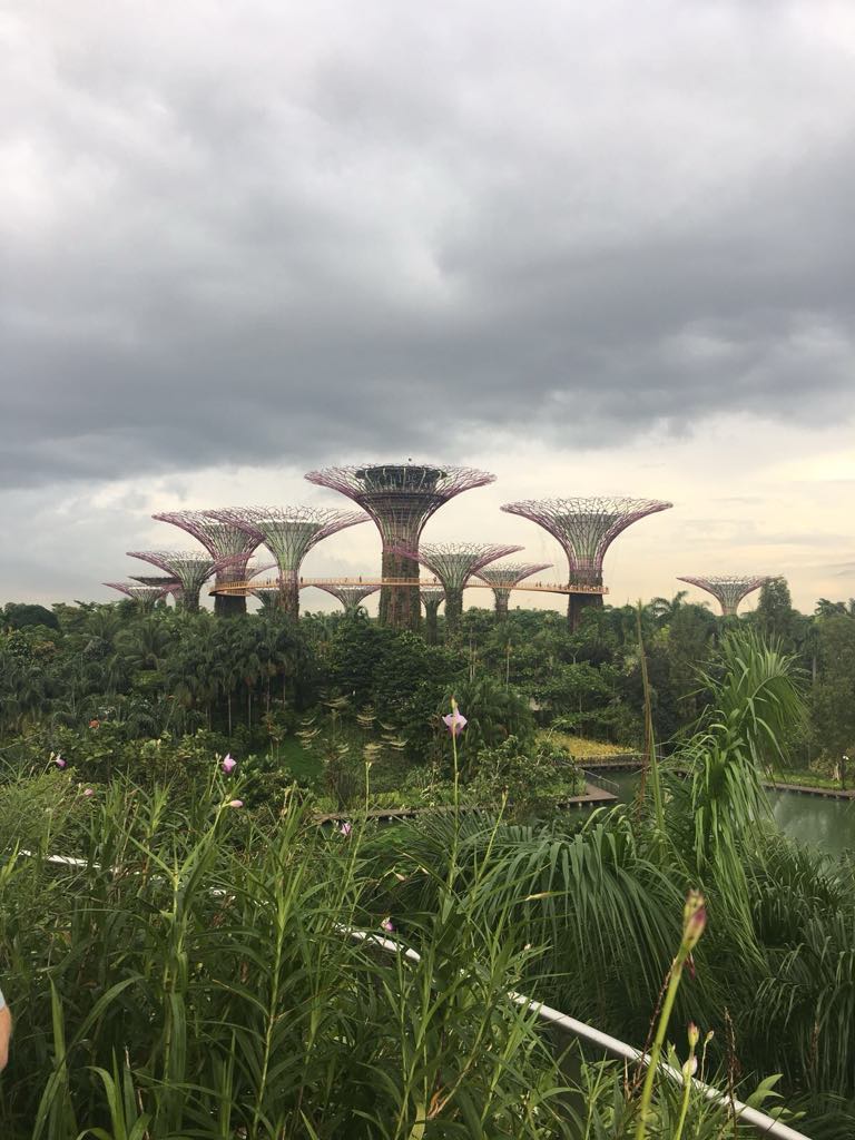 Singapore 2